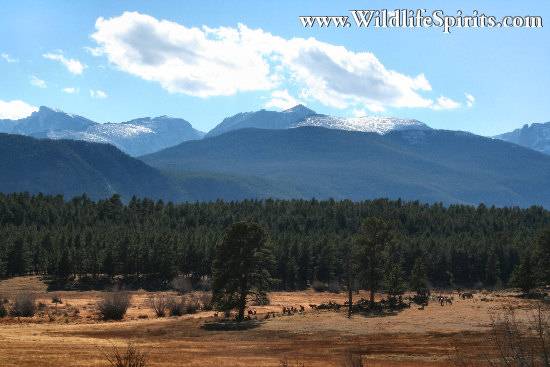 Click Picture to send as an  E-PostCard 56k 550x367